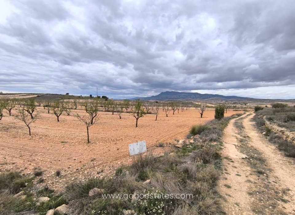 Venta - Parcela - Terreno - Pinoso - Pinoso Centro