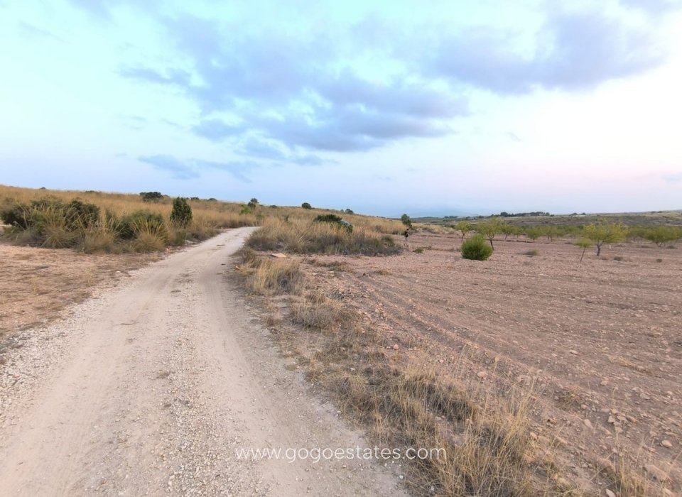 Venta - Parcela - Terreno - Pinoso - Pinoso Centro