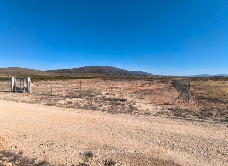 Venta - Parcela - Terreno - Pinoso - Pinoso Centro