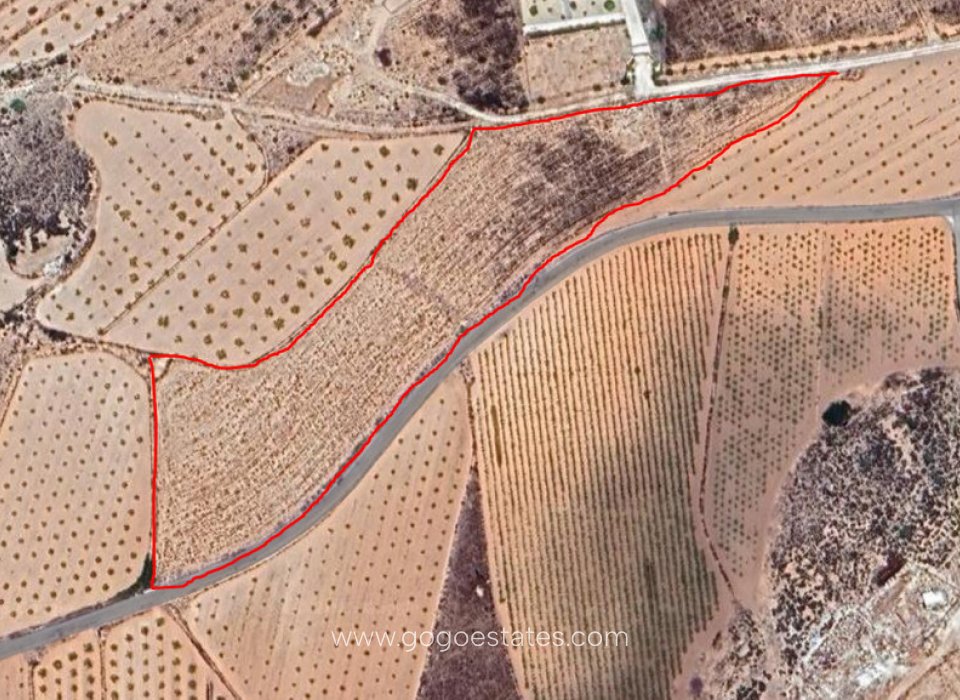 Venta - Parcela - Terreno - Pinoso - Pinoso Centro