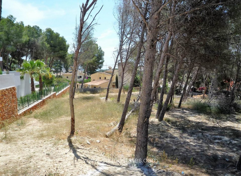 Venta - Parcela - Terreno - Teulada - Teulada Centro