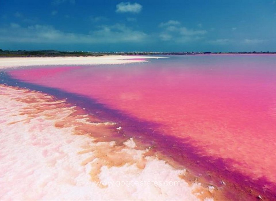 Venta - Parcela - Terreno - Torrevieja - Torrevieja Centro