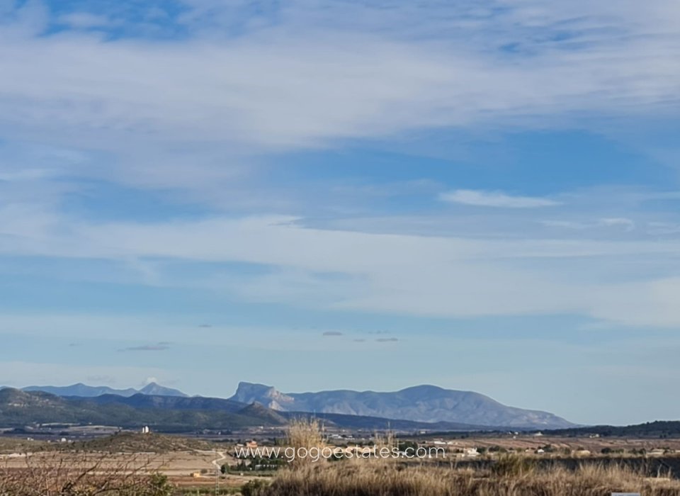 Venta - Parcela - Terreno - Yecla - Raspay