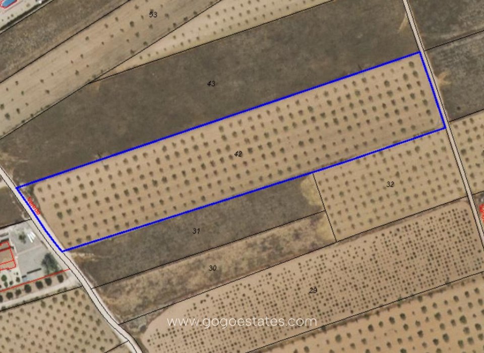 Venta - Parcela - Terreno - Yecla - Raspay