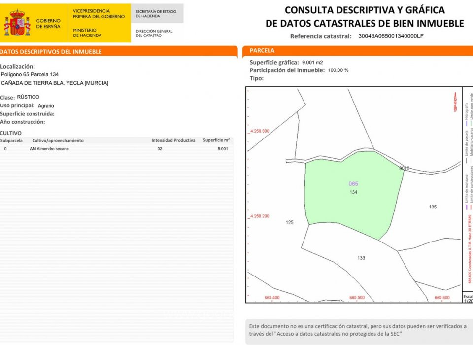 Venta - Parcela - Terreno - Yecla - Raspay