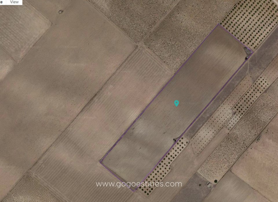 Venta - Parcela - Terreno - Yecla - Yecla Centro