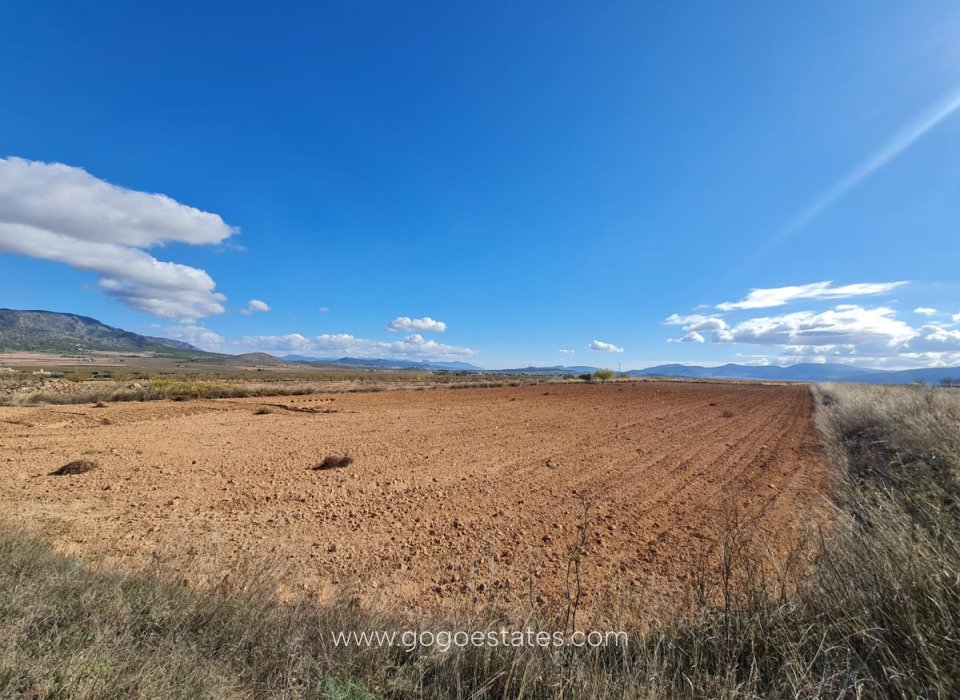 Venta - Parcela - Terreno - Yecla - Yecla Centro