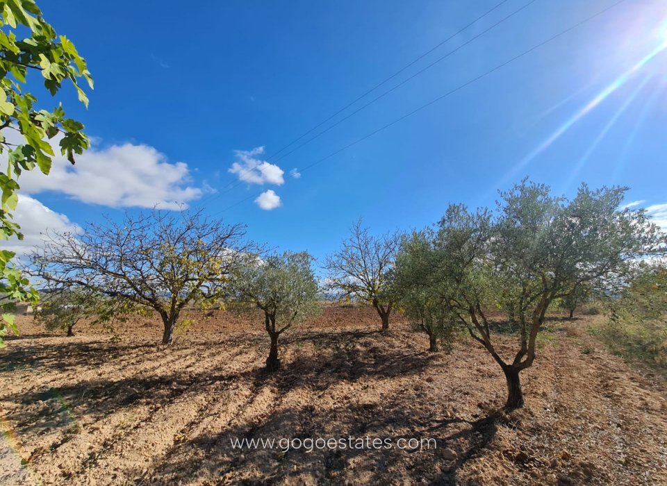 Venta - Parcela - Terreno - Yecla - Yecla Centro