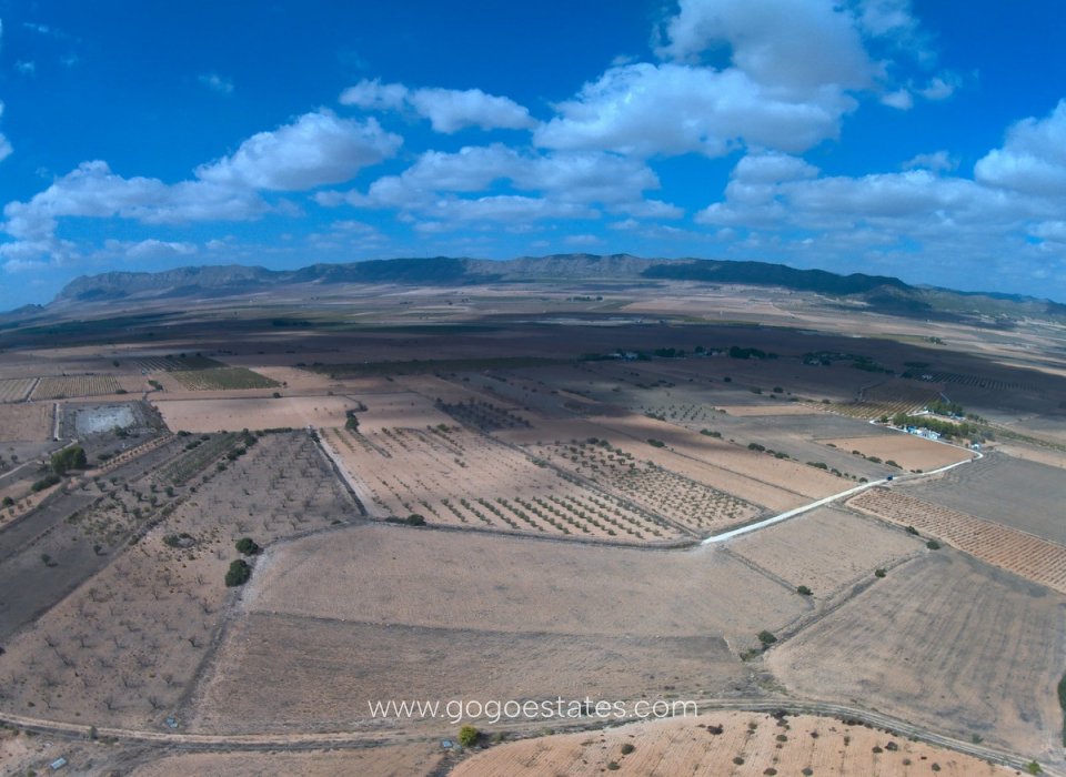 Venta - Parcela - Terreno - Yecla - Yecla Centro