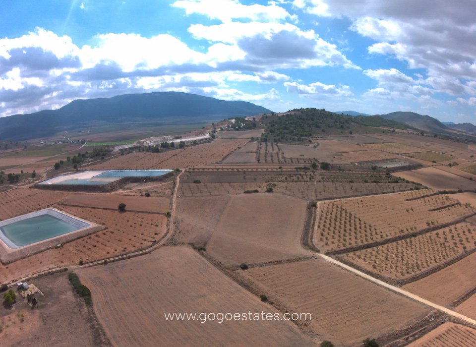 Venta - Parcela - Terreno - Yecla - Yecla Centro