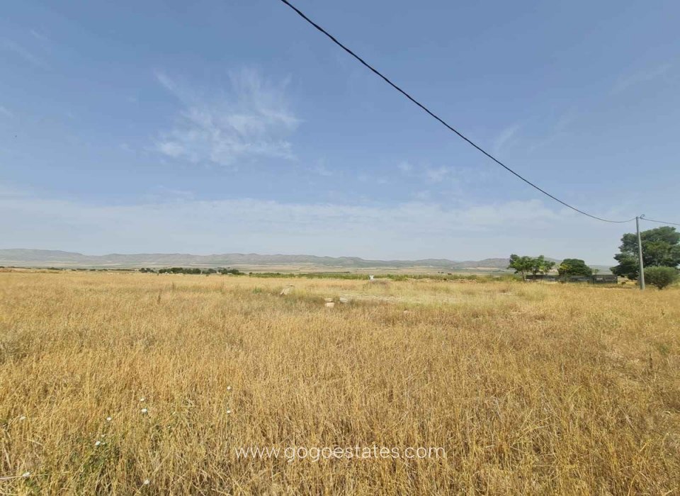 Venta - Parcela - Terreno - Yecla - Yecla Centro