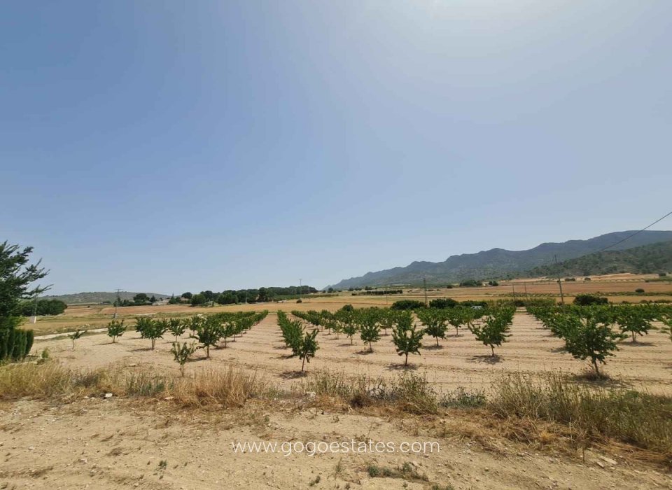 Venta - Parcela - Terreno - Yecla - Yecla Centro