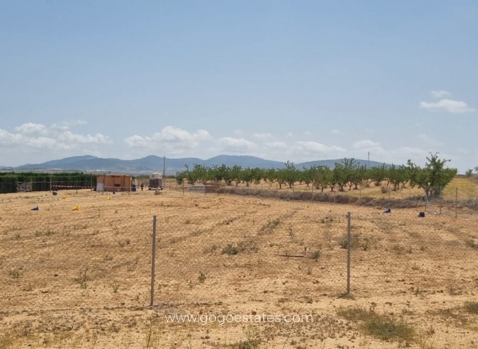 Venta - Parcela - Terreno - Yecla - Yecla Centro