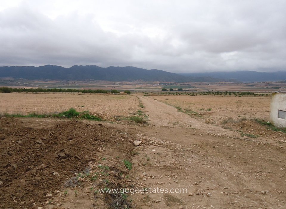 Venta - Parcela - Terreno - Yecla - Yecla Centro