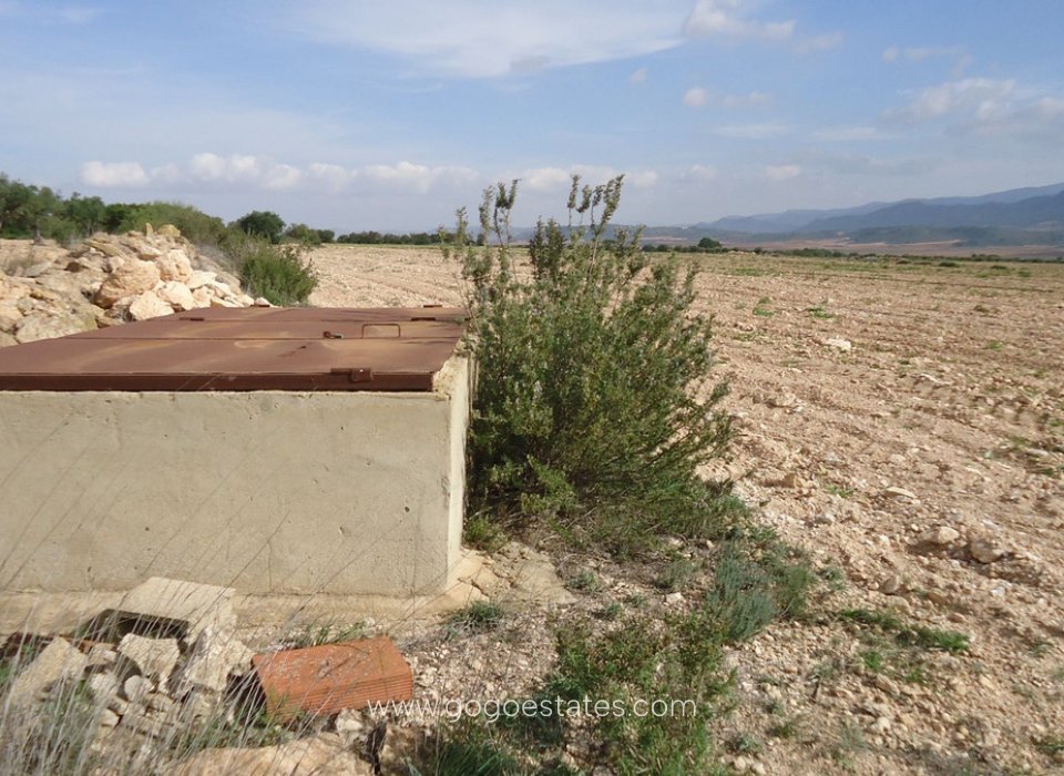 Venta - Parcela - Terreno - Yecla - Yecla Centro