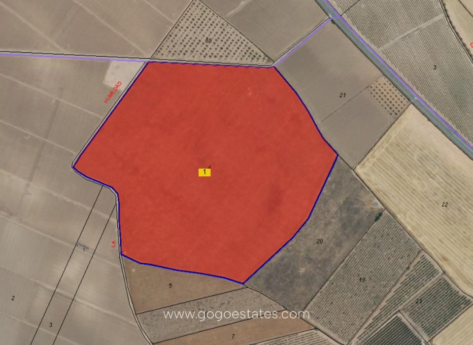 Venta - Parcela - Terreno - Yecla - Yecla Centro