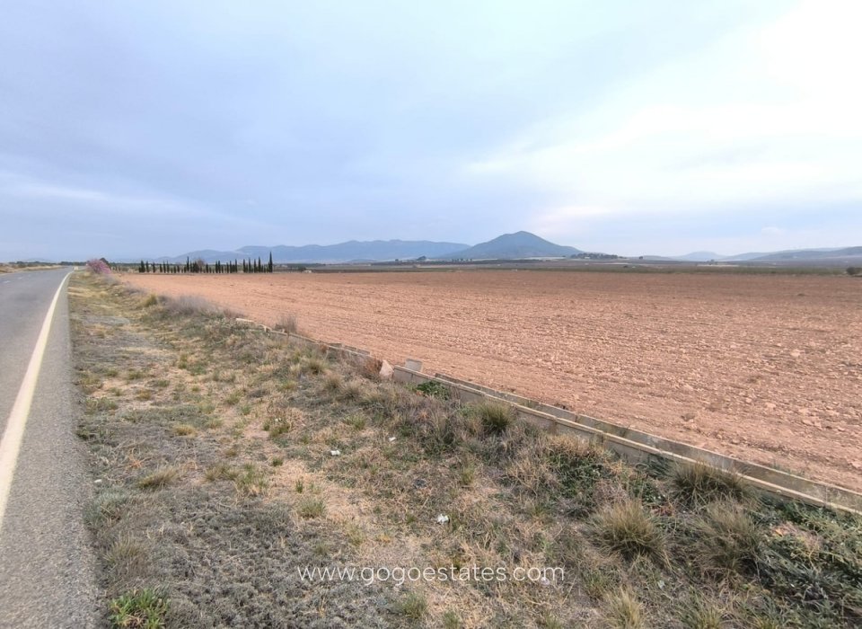 Venta - Parcela - Terreno - Yecla - Yecla Centro