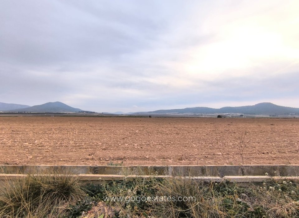 Venta - Parcela - Terreno - Yecla - Yecla Centro