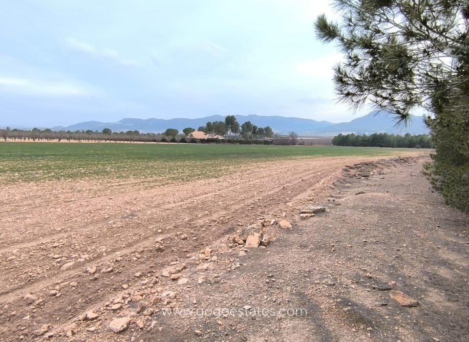 Venta - Parcela - Terreno - Yecla - Yecla Centro