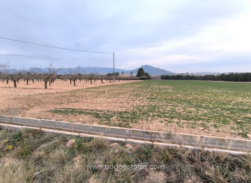 Venta - Parcela - Terreno - Yecla - Yecla Centro