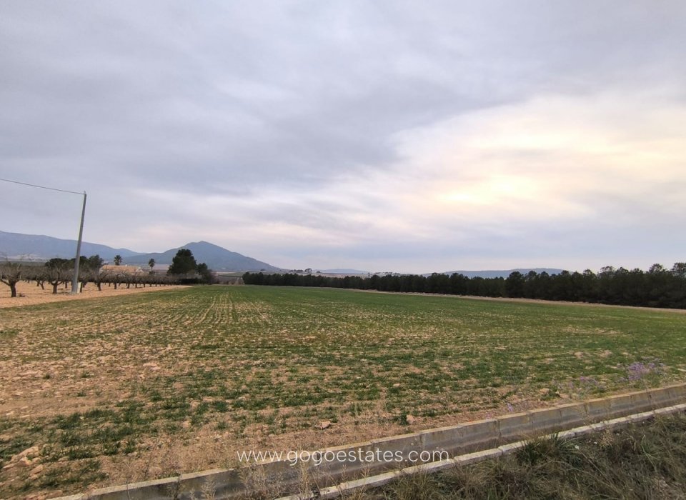 Venta - Parcela - Terreno - Yecla - Yecla Centro