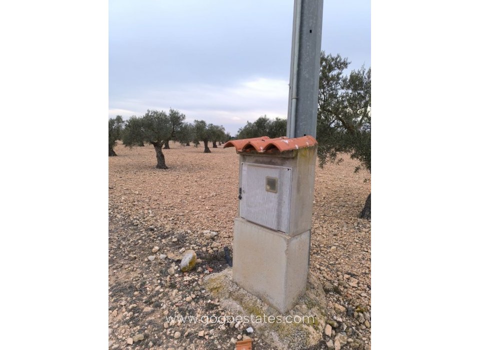 Venta - Parcela - Terreno - Yecla - Yecla Centro