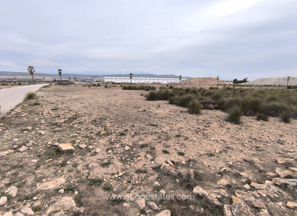 Venta - Parcela - Terreno - Yecla - Yecla Centro