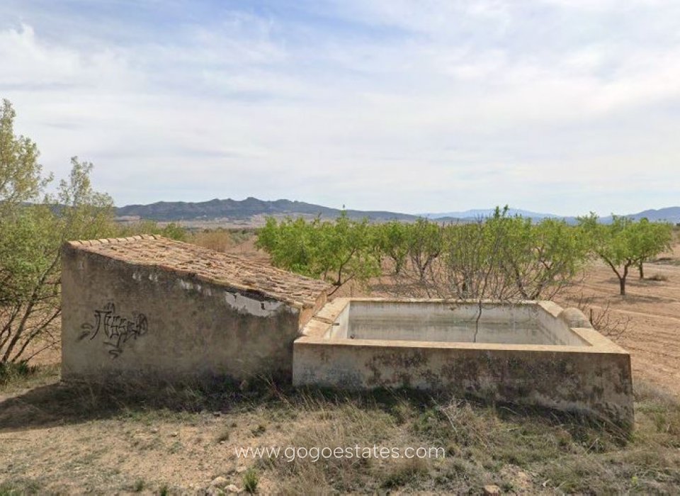 Venta - Parcela - Terreno - Yecla - Yecla Centro