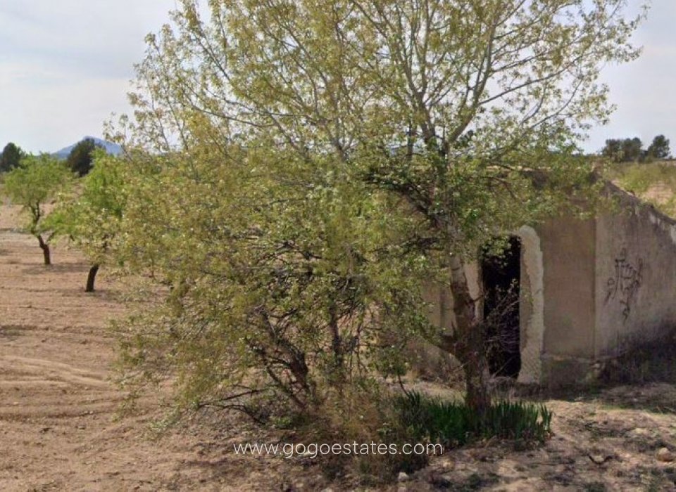 Venta - Parcela - Terreno - Yecla - Yecla Centro