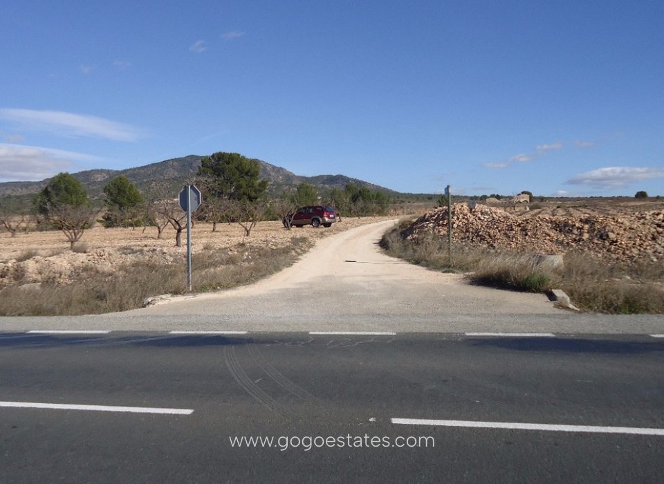 Venta - Parcela - Terreno - Yecla - Yecla Centro