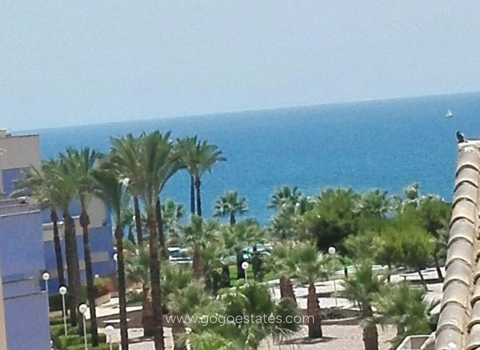 Wiederverkauf -  - Cabo Roig