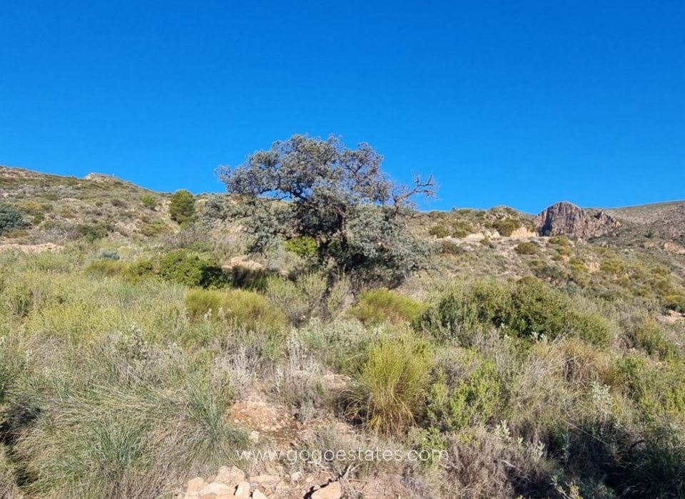 Wiederverkauf - Grundstück - Bedar