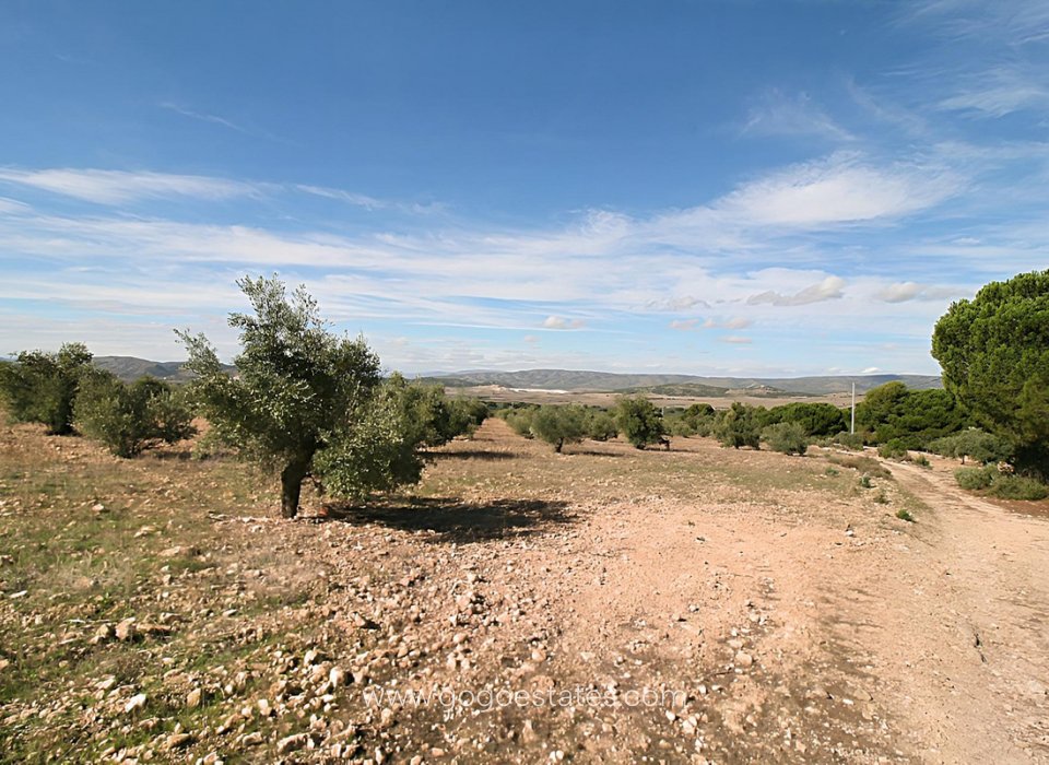 Wiederverkauf - Grundstück - Biar - Biar Centro
