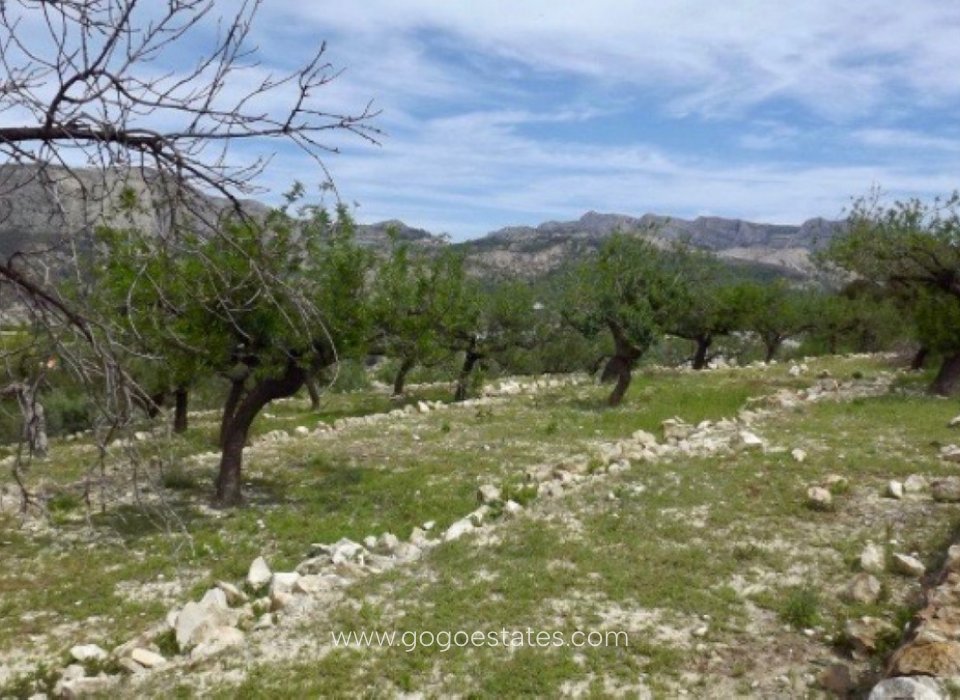 Wiederverkauf - Grundstück - Callosa d'en Sarria - Callosa d'en Sarria Centro