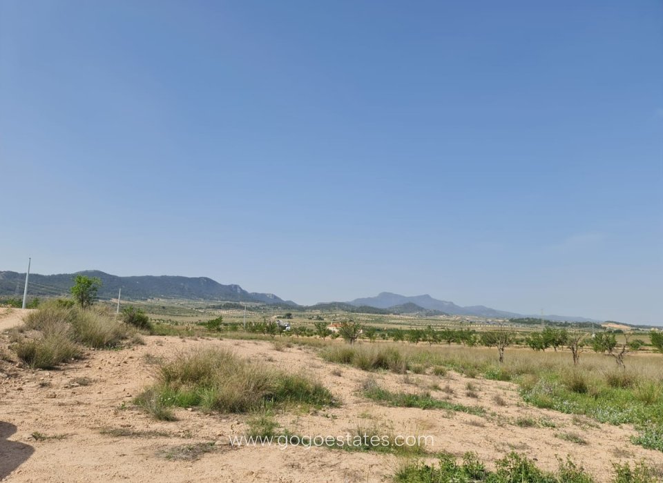 Wiederverkauf - Grundstück - Jumilla - Jumilla Centro