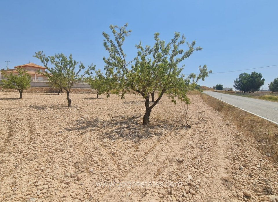 Wiederverkauf - Grundstück - Jumilla - Jumilla Centro