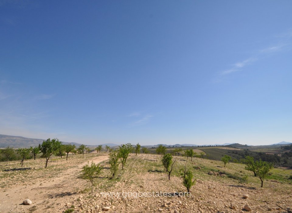 Wiederverkauf - Grundstück - Jumilla - La Zarza