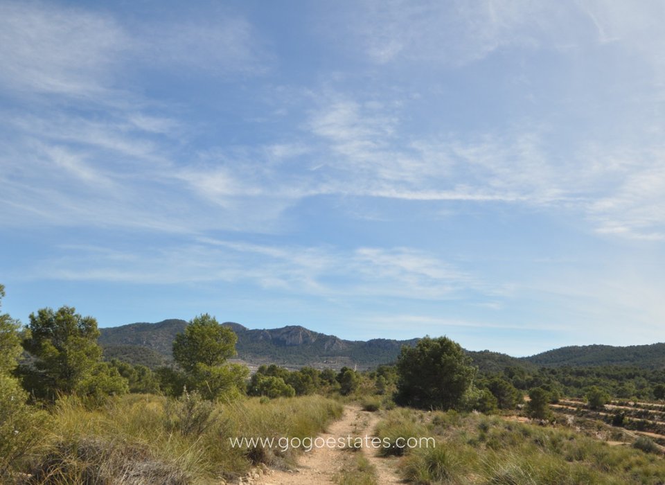 Wiederverkauf - Grundstück - Jumilla - La Zarza