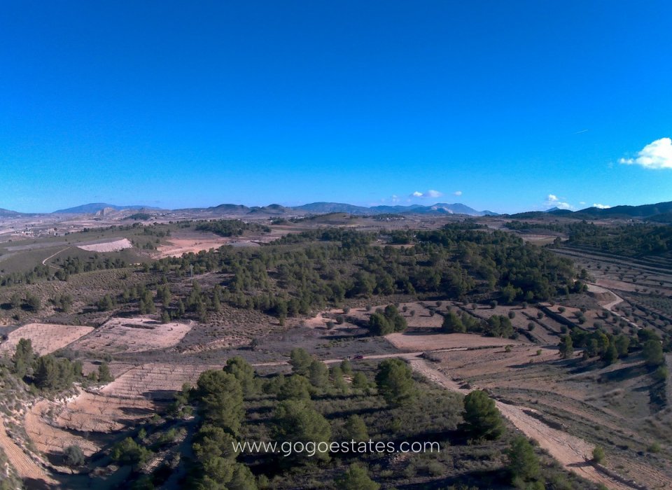 Wiederverkauf - Grundstück - Jumilla - La Zarza