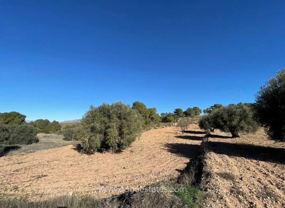 Wiederverkauf - Grundstück - Jumilla - La Zarza