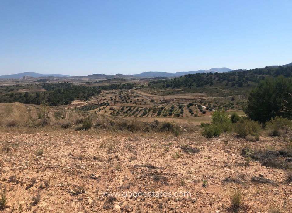 Wiederverkauf - Grundstück - Jumilla - La Zarza
