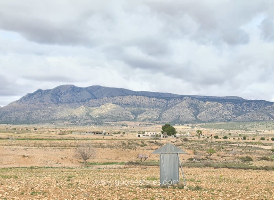 Wiederverkauf - Grundstück - Jumilla - Torre del Rico