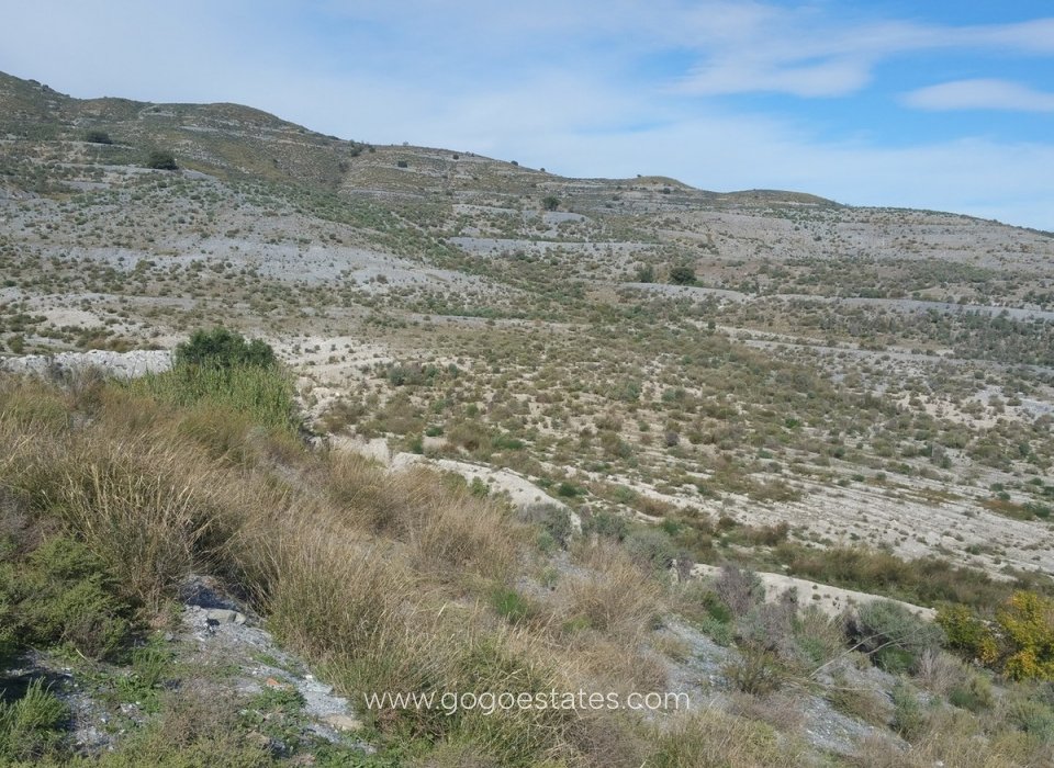 Wiederverkauf - Grundstück - Lorca - Lorca Centro