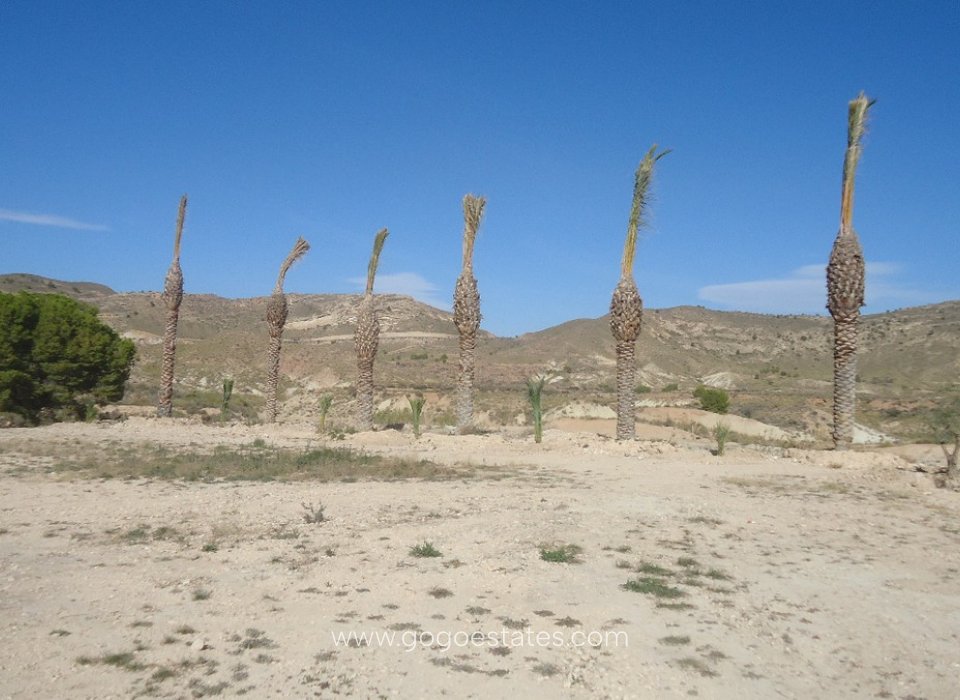 Wiederverkauf - Grundstück - Murcia - Abanilla Centro