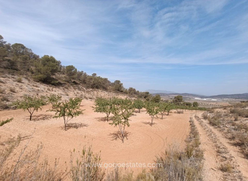 Wiederverkauf - Grundstück - Murcia - Abanilla Centro