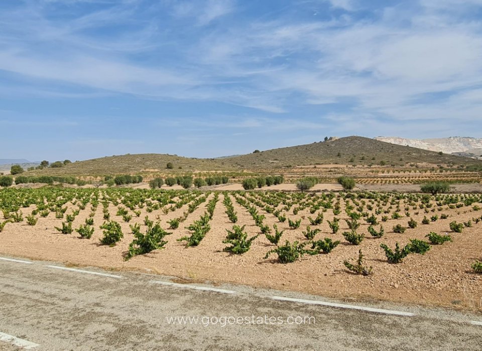 Wiederverkauf - Grundstück - Murcia - Abanilla Centro