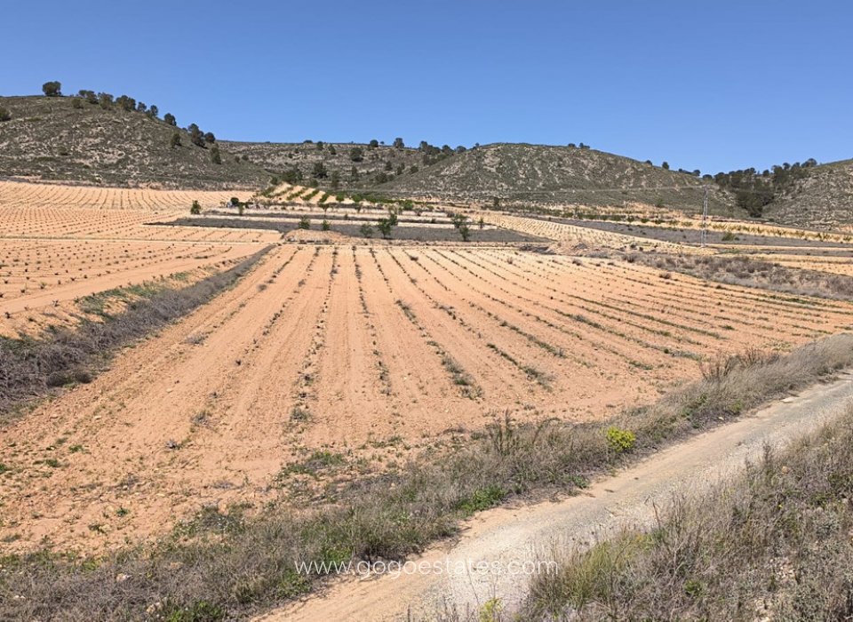 Wiederverkauf - Grundstück - Murcia - Abanilla Centro