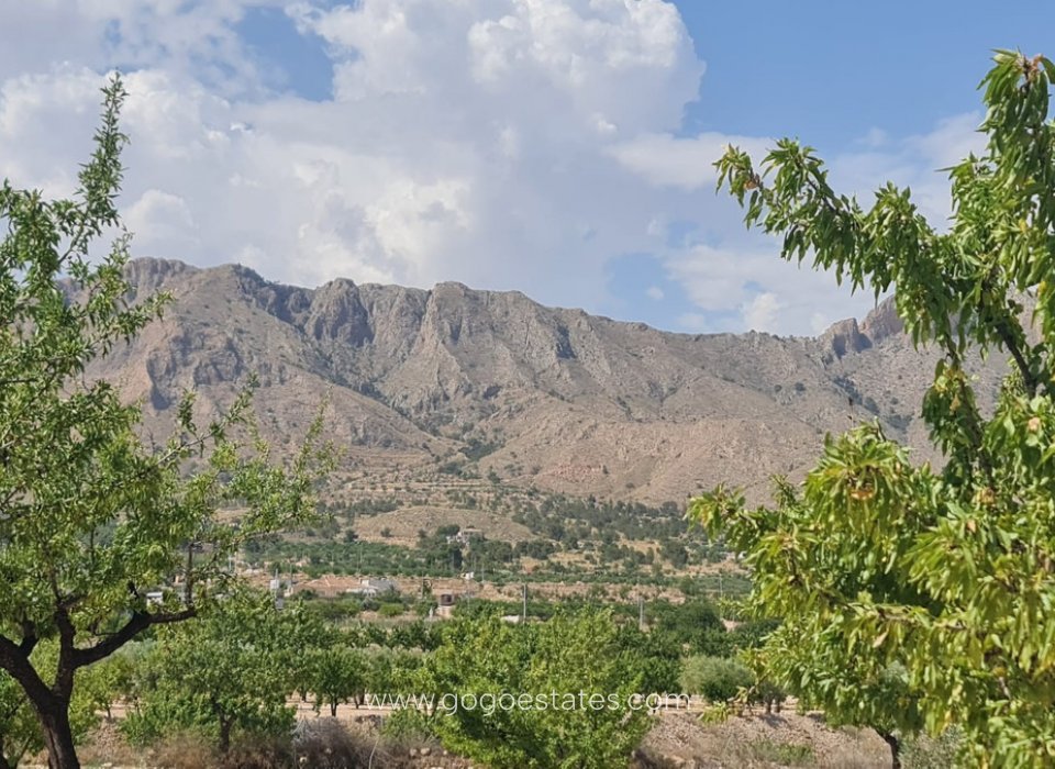 Wiederverkauf - Grundstück - Murcia - Abanilla Centro