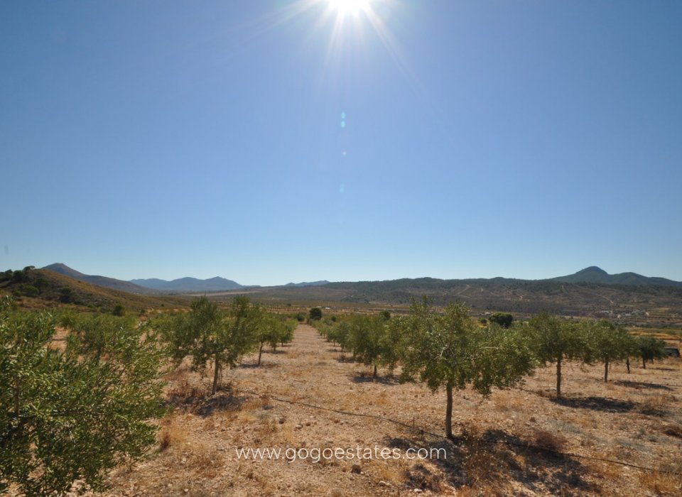 Wiederverkauf - Grundstück - Murcia - Macisvenda