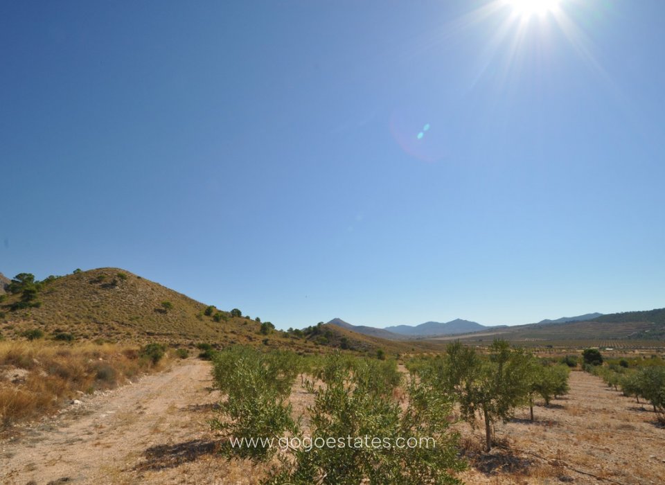 Wiederverkauf - Grundstück - Murcia - Macisvenda